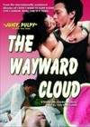 The Wayward Cloud (2005)6.jpg